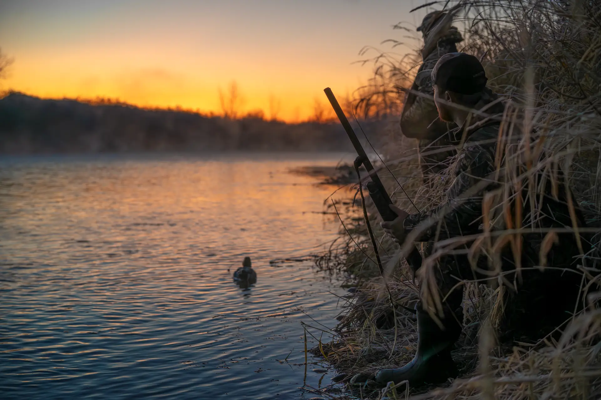 At First Light